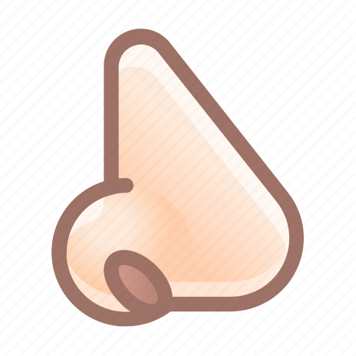 Nose, organ, anatomy icon - Download on Iconfinder
