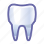 tooth, dental 