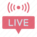 live, streaming, content, creation, influencer, news, video