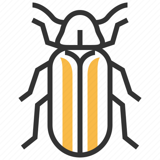 Beetle, animal, bug, insect icon - Download on Iconfinder