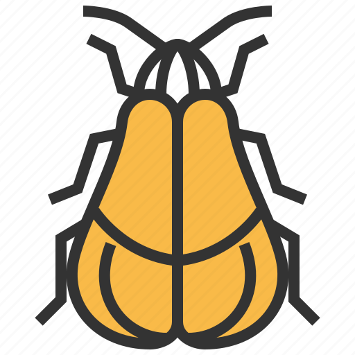 Beetle, net, winged, animal, bug, insect icon - Download on Iconfinder