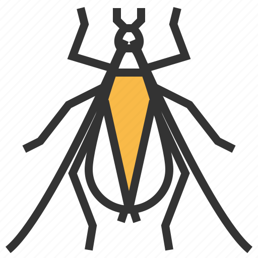 Cricket, tree, animal, bug, insect icon - Download on Iconfinder