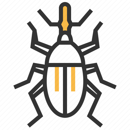 Weevil, animal, bug, insect icon - Download on Iconfinder