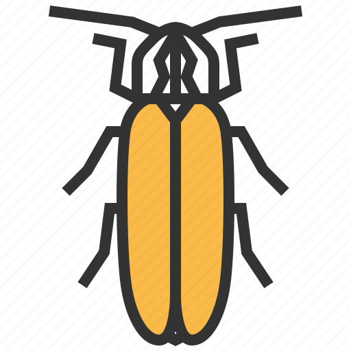 Firefly, animal, bug, insert icon - Download on Iconfinder