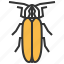 firefly, animal, bug, insert 