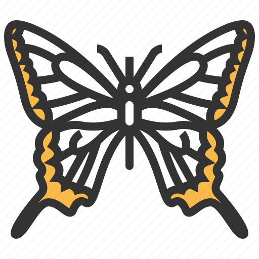 Machaon, papilio, animal, bug, insect icon - Download on Iconfinder