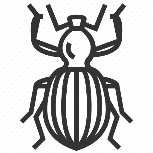 Antlike, weevil, animal, bug, insect icon - Download on Iconfinder