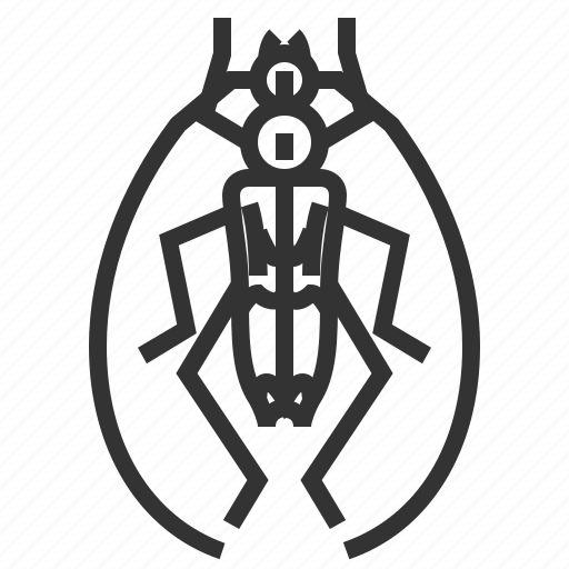 Beetle, longhorn, animal, bug, insect icon - Download on Iconfinder