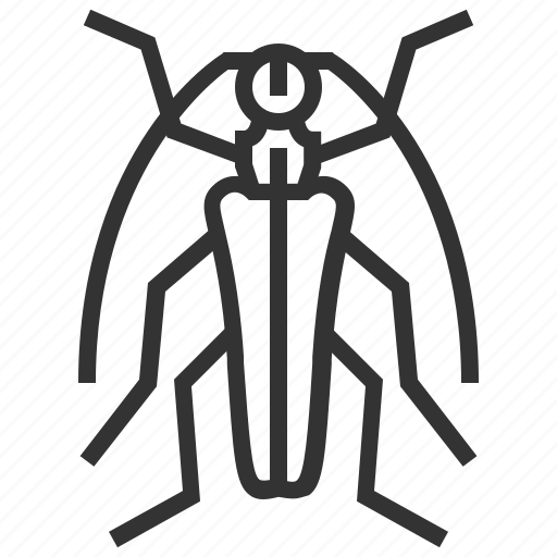 Stenocorus, subgenus, animal, bug, insect icon - Download on Iconfinder