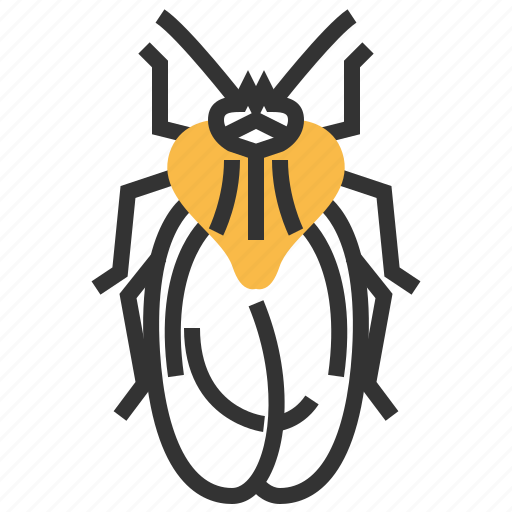 Bug, lace, animal, insect icon - Download on Iconfinder