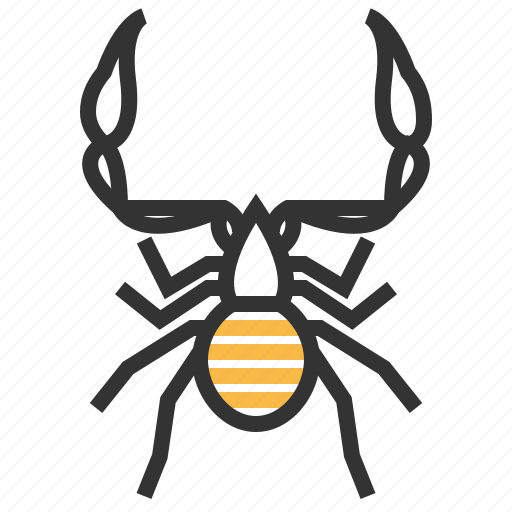 Pseudoscorpion, animal, bug, insect icon - Download on Iconfinder