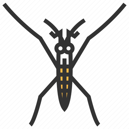 Strider, water, animal, bug, insect icon - Download on Iconfinder