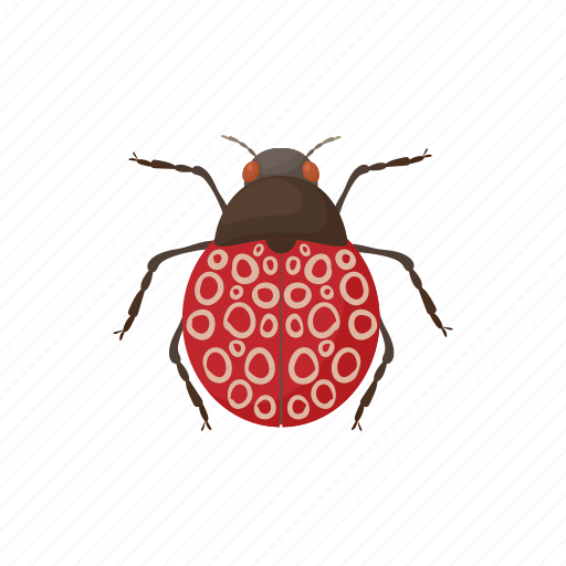 Beetle, bug, cartoon, insect, mite, nature, virus icon - Download on Iconfinder