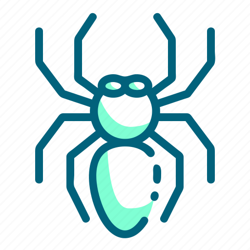Bug, insect, spider, tarantula icon - Download on Iconfinder