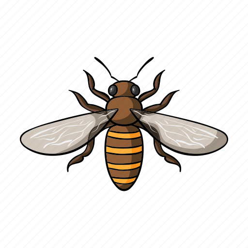 Animal, arthropod, bee, honeybee, insect icon - Download on Iconfinder