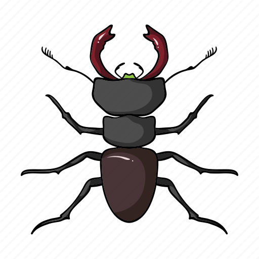 Animal, arthropod, beetle, bug, insect icon - Download on Iconfinder