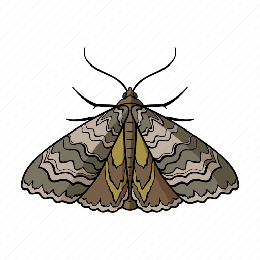 Animal, arthropod, insect, moth butterfly icon - Download on Iconfinder