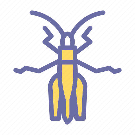 Insects, nature, insect, grashoper icon - Download on Iconfinder