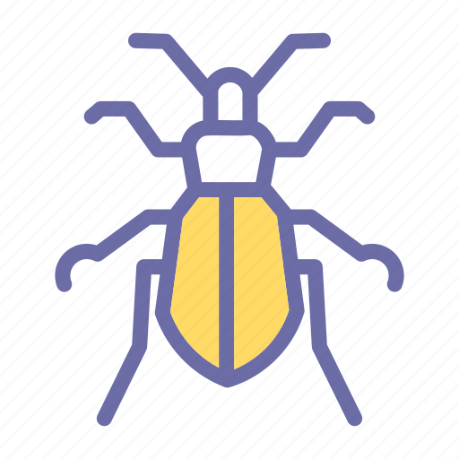 Insects, nature, insect, ground, beetle icon - Download on Iconfinder