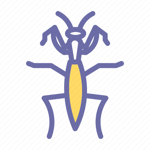 Insects, nature, insect, mantis icon - Download on Iconfinder