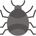 tick, mite, bite, insect, parasite, insects