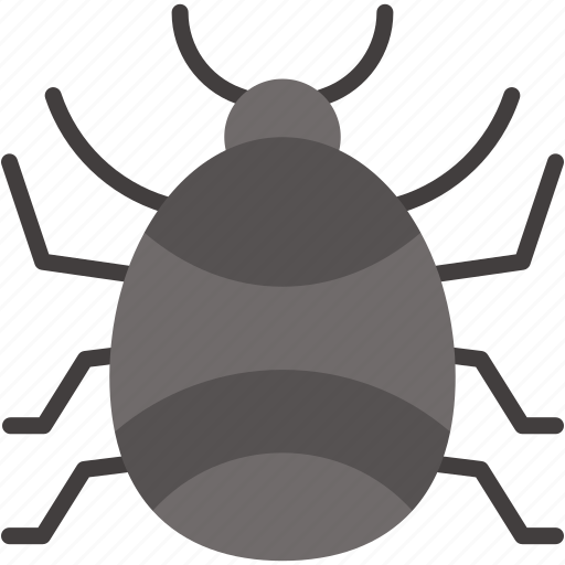 Tick, mite, bite, insect, parasite, insects icon - Download on Iconfinder
