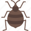 bedbug, animals, bug, insect, entomology, insects 