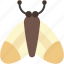 moth, insect, entomology, bug, animals, insects 