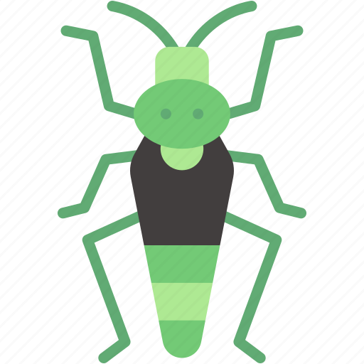 Grasshopper, animal, insects, grasshoppers, kingdom, side, view icon - Download on Iconfinder