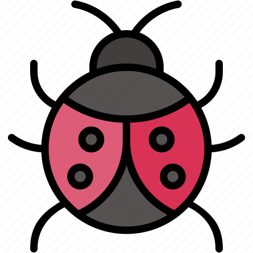 Ladybird, insect, bug, ladybug, animal, kingdom, nature icon - Download on Iconfinder