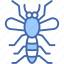 mosquito, bug, insect, entomology, animals, insects