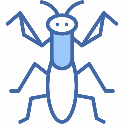 Mantis, bug, insect, entomology, animals, insects icon - Download on Iconfinder