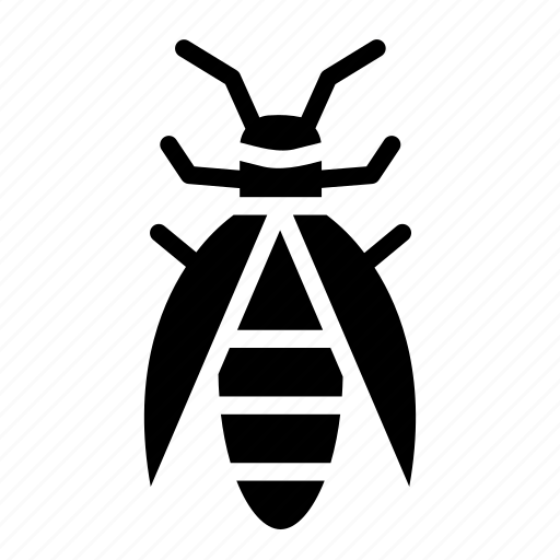 Firefly, entomology, bug, insect, animals icon - Download on Iconfinder
