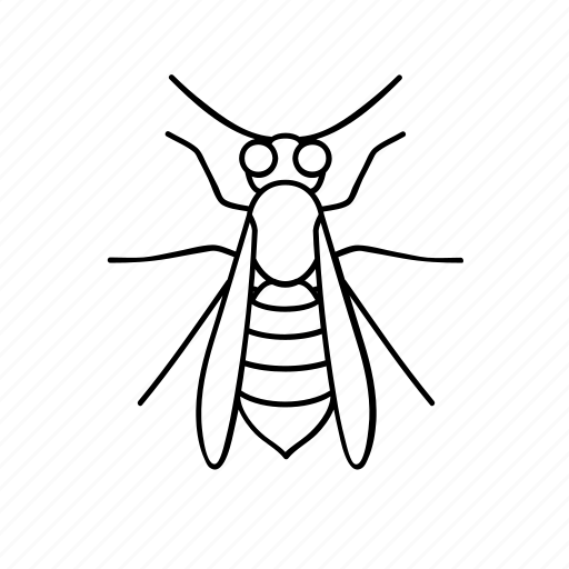 Bee, wasp, honey, sweet icon - Download on Iconfinder
