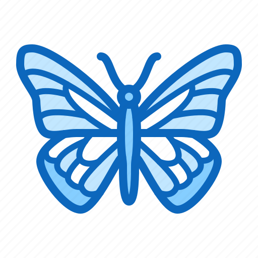Butterfly, insect, moth, spring icon - Download on Iconfinder