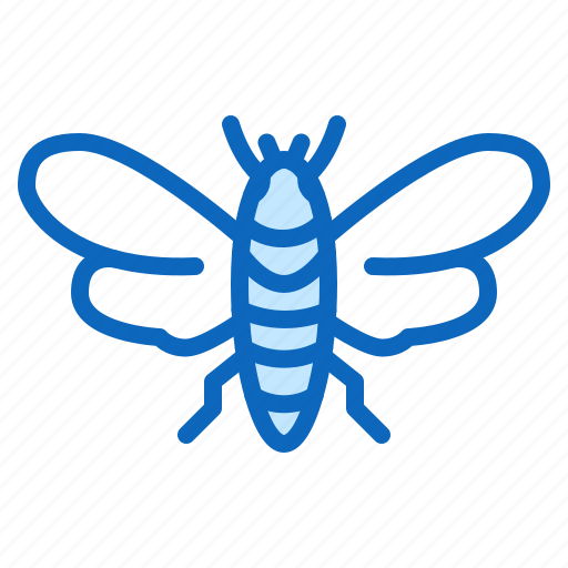Bug, cicada, insect icon - Download on Iconfinder