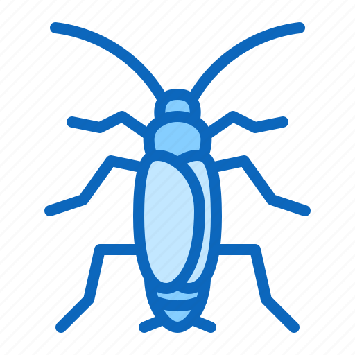Cockroach, insect, pest, roach icon - Download on Iconfinder