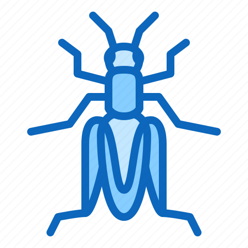 Cricket, grasshopper, insect icon - Download on Iconfinder