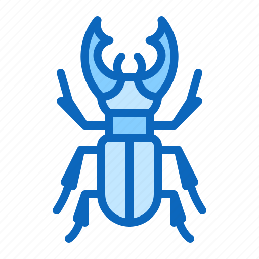 Beetle, bug, insect, stag icon - Download on Iconfinder