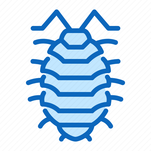 Insect, pest, woodlouse icon - Download on Iconfinder
