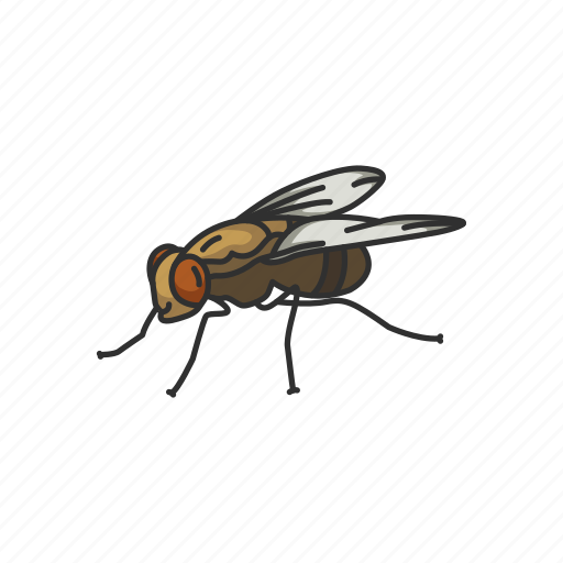 Animal, bloodsucker, fly, housefly, insect, invertebrate, pest icon - Download on Iconfinder