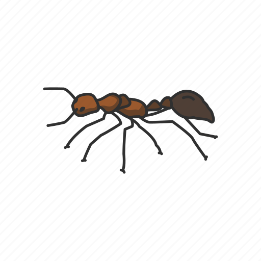 Animal, ant, bug, fire ant, insects, invertebrates, red ant icon - Download on Iconfinder