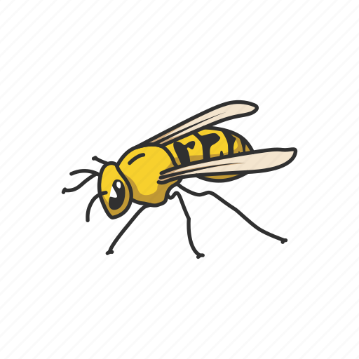 Animal, bee, beeswax, flying insect, honey bee, insect, pest icon - Download on Iconfinder