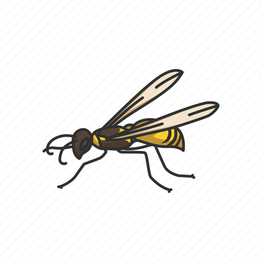 Animal, flying insect, insect, moth, pest, skipper, wasp icon - Download on Iconfinder