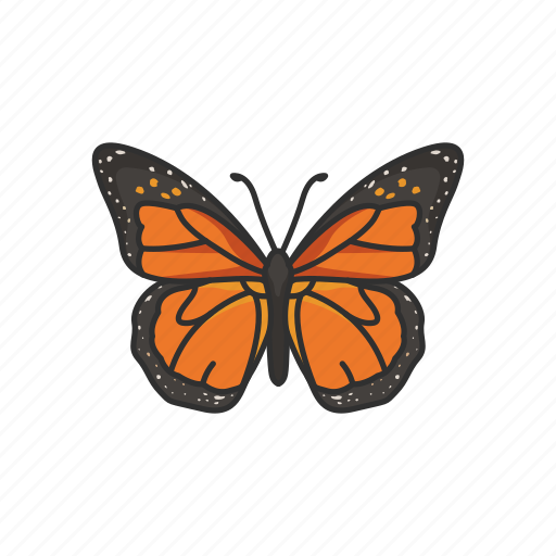 Animal, butterfly, flying insects, insects, moth, pest, skipper icon - Download on Iconfinder
