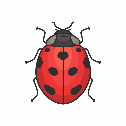 Animal, bug, insects, lady beetle, ladybird, ladybug icon - Download on Iconfinder