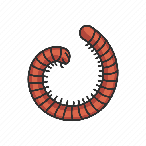 Animal, insect, insects, millipede, pest, snake millipede icon - Download on Iconfinder