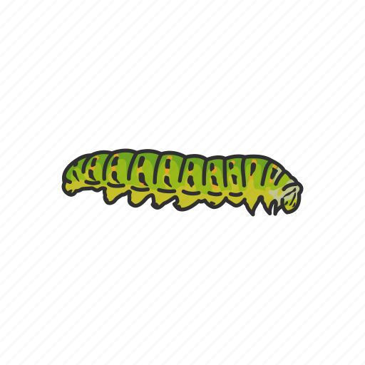 Animal, butterfly, caterpillar, inchworm, insects, larva, worm icon - Download on Iconfinder