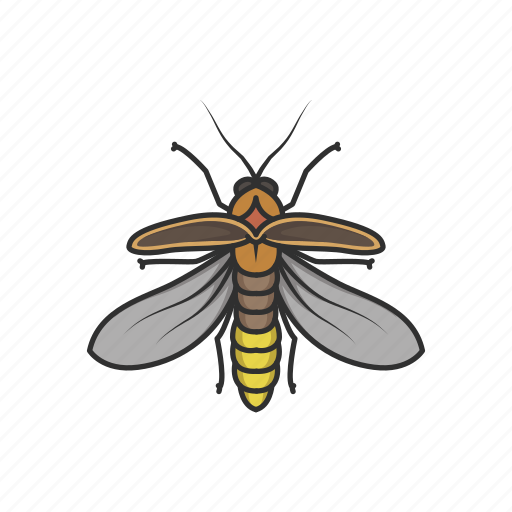 Animal, bug, firefly, glowworm, insects, lightning bug icon - Download on Iconfinder