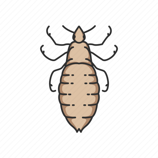 Animal, blood-feeding insects, body lice, head lice, insects, lice, parasite icon - Download on Iconfinder